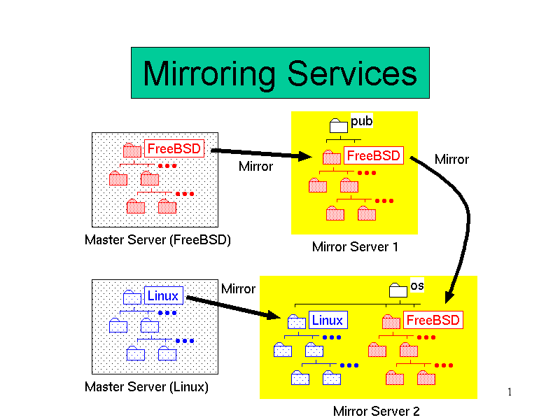 Mirroring Services